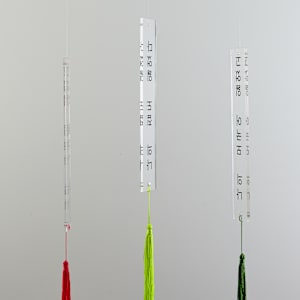 I Lost My Country, I Lost My Home, I Lost My Mother Tongue / No Record by kayla tange  Image: "I Lost My Country, I Lost My Home, I Lost My Mother Tongue," 2024, explores the grief of displacement and the erasure of language through translation. Forced migration and adoption, driven by capitalism, sever not just familial ties but also the ability to communicate in one’s mother tongue. This piece reflects on the weight of losing home, identity, and voice to systems that commodify human lives.