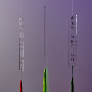 I Lost My Country, I Lost My Home, I Lost My Mother Tongue / No Record by kayla tange 