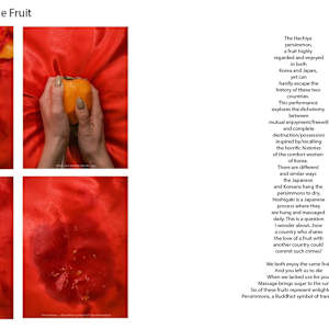 Hanzine by kayla tange 