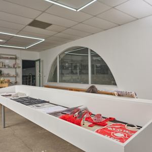 LACA_AAPI Sex Worker Collection by kayla tange 