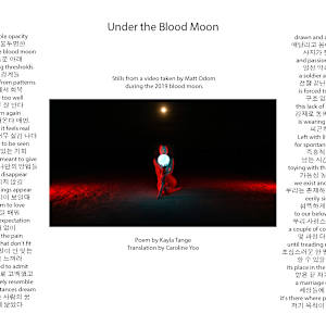 Hanzine by kayla tange 