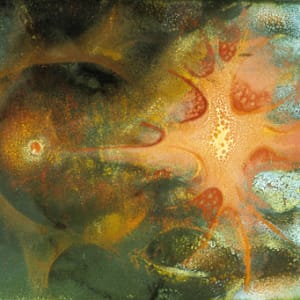 Organic_IAW_248 by Irwin A. Whitaker