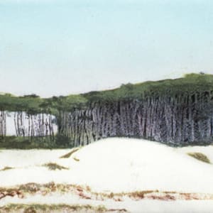 Monterey Pines and Dunes