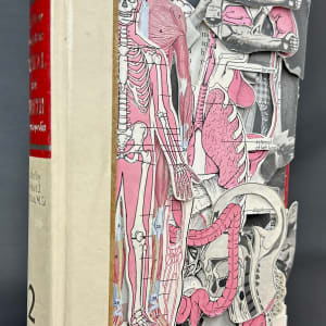 Medical in Pink by Shane Cooper 