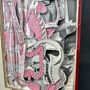 Medical in Pink by Shane Cooper 