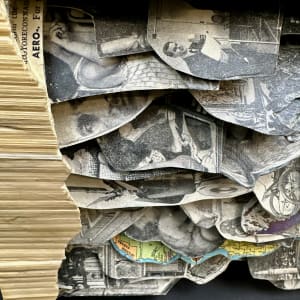 Family Tree by Shane Cooper 