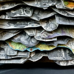 Family Tree by Shane Cooper 