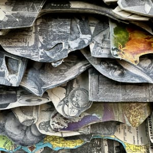 Family Tree by Shane Cooper 