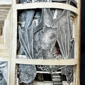Vortex Knowledge by Shane Cooper 