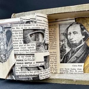 Tigers & Arches by Shane Cooper 