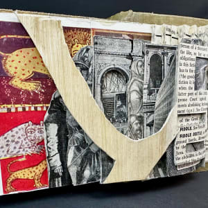 Tigers & Arches by Shane Cooper 