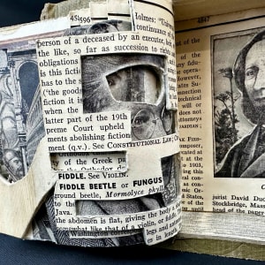 Tigers & Arches by Shane Cooper 