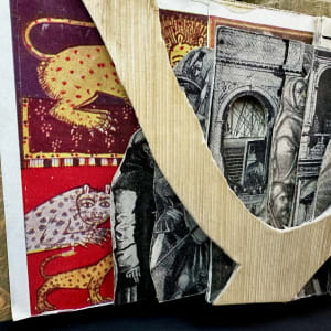 Tigers & Arches by Shane Cooper 