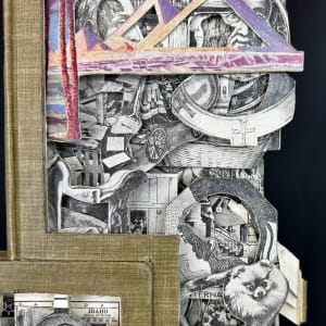 Popes & Pets by Shane Cooper 