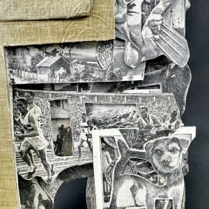 Popes & Pets by Shane Cooper 