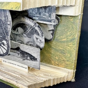 Holy Mackeral by Shane Cooper 