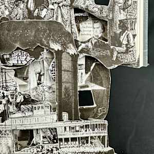 Southern Exposure by Shane Cooper 