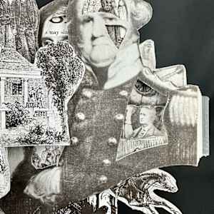 Southern Exposure by Shane Cooper 