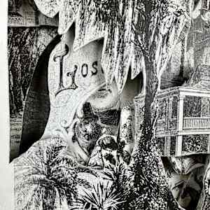 Southern Exposure by Shane Cooper 