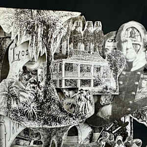 Southern Exposure by Shane Cooper 