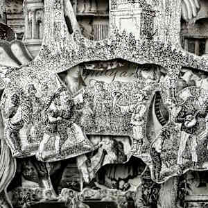 Southern Exposure by Shane Cooper 