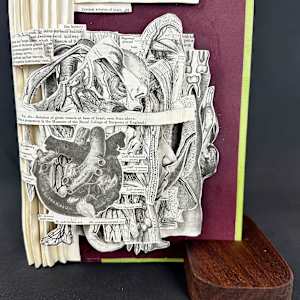 Anatomy Lesson by Shane Cooper 