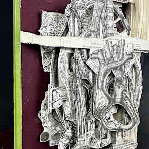 Anatomy Lesson by Shane Cooper 