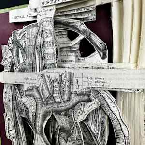 Anatomy Lesson by Shane Cooper 