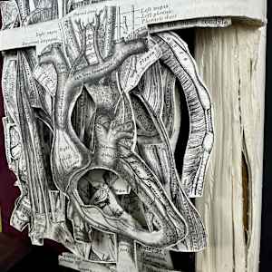 Anatomy Lesson by Shane Cooper 