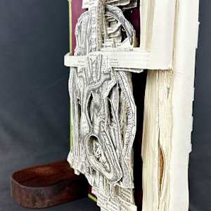 Anatomy Lesson by Shane Cooper 