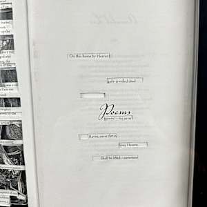 Poes Poem by Shane Cooper 