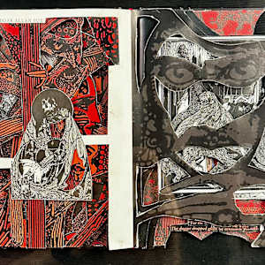 Dark Gaze by Shane Cooper 