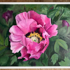 Pink Rockii Peony by Nicola Currie  Image: Framed