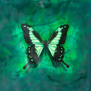 Delicate Dance by Milan Dècor