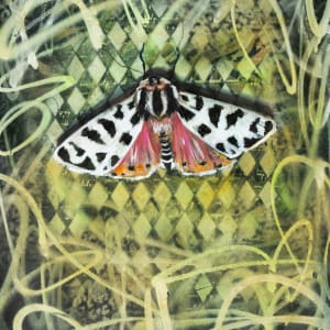 Delicate Gaze by Milan Dècor