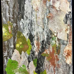 FOREST SEEN(s)