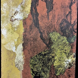 FOREST SEEN(s)