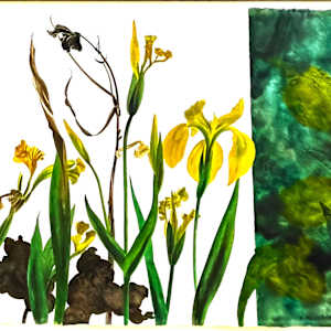 WATER IRISES by Keith Achepohl Trust