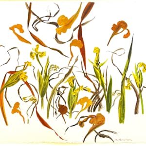 WATER IRISES by Keith Achepohl Trust