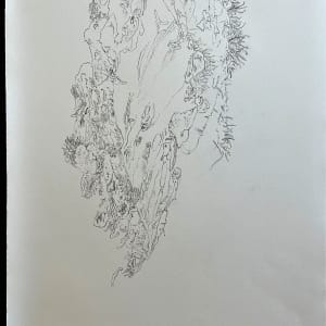 TREE MAPS by Keith Achepohl Trust