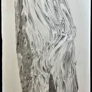 TREE MAPS by Keith Achepohl Trust