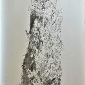 TREE MAPS by Keith Achepohl Trust