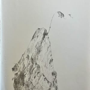 TREE MAPS by Keith Achepohl Trust