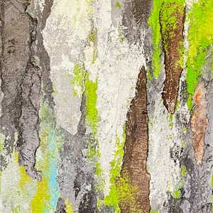 FOREST SEEN(s) by Keith Achepohl