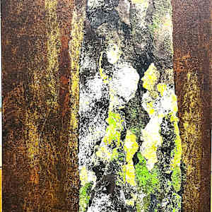 FOREST SEEN(s) by Keith Achepohl