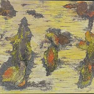 FOREST SEEN(s) by Keith Achepohl