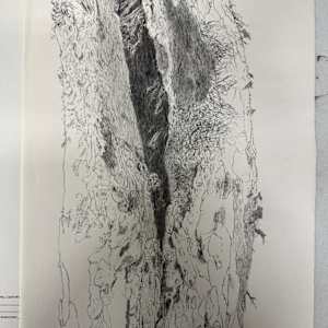 TREE MAPS by Keith Achepohl, Image 1.
