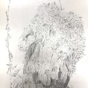 TREE MAPS by Keith Achepohl, Image 1.