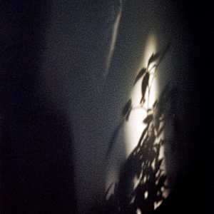 Shadows by Charlotte Rose Eshelman, Image 1.