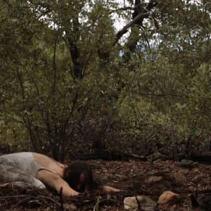 Nest by Charlotte Rose Eshelman